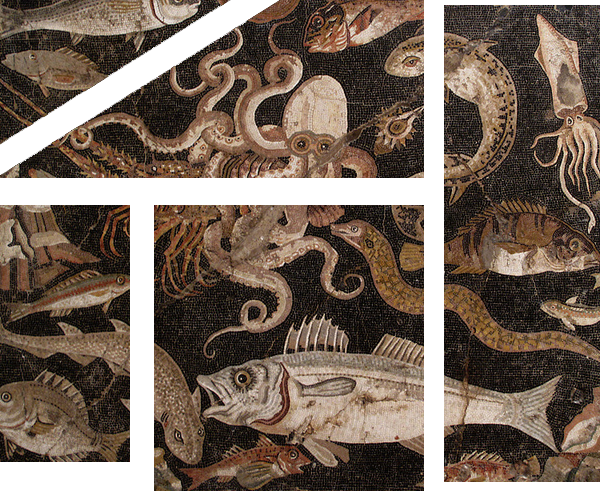 octopus_mosaic